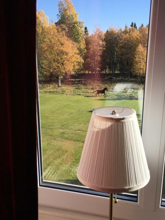 Stornasets Pensionat Och Vandrarhem 松兹瓦尔 外观 照片